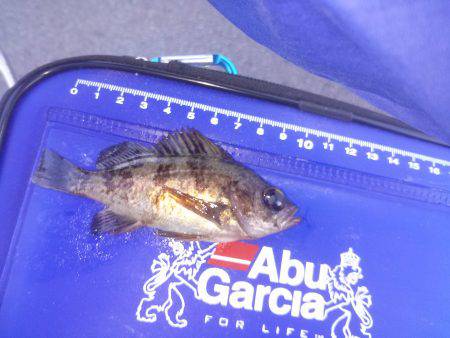 デイメバリング