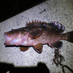 初釣り、家族釣行