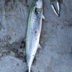 今朝の神戸空港は激アツ