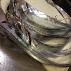 エサは新鮮さが命