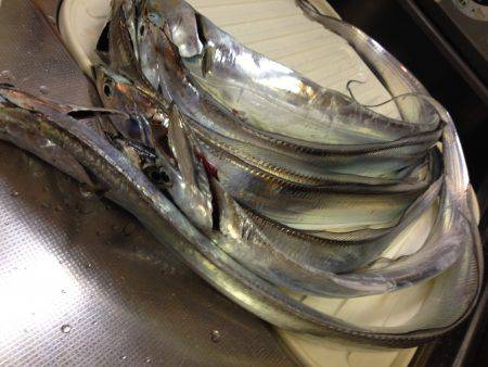 エサは新鮮さが命