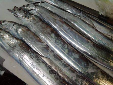 今年最初の釣り