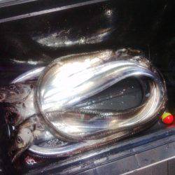 裏切らないポイント