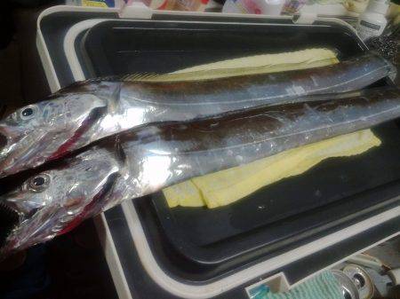 さくっと夕マズメ