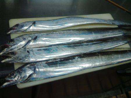 仕事前にいつもポイント