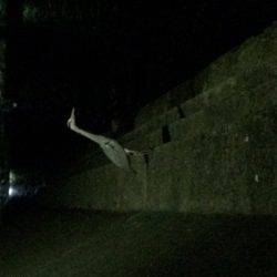 里帰りからの帰りアジング