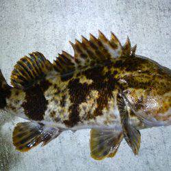 短時間でしたが！