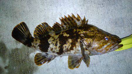 短時間でしたが！