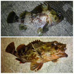 今年もイイ感じのスタートです♪