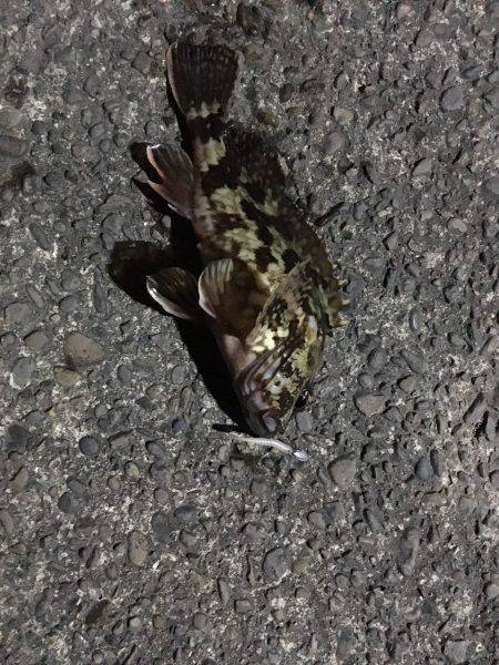 大雪のライトゲーム