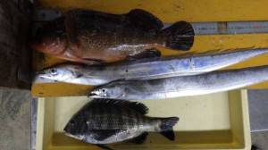 記録更新とビックリ