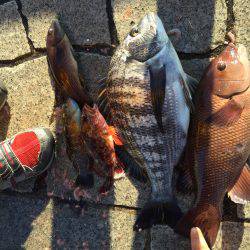 寒いなか・・・