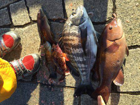 寒いなか・・・