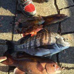 寒いなか・・・