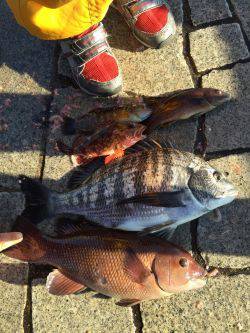 寒いなか・・・