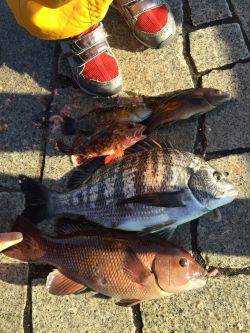 寒いなか・・・