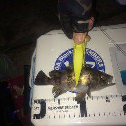 伊根メバリング part1