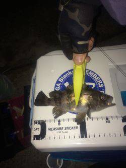 伊根メバリング part1