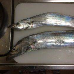 朝練してきました