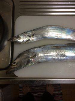 朝練してきました