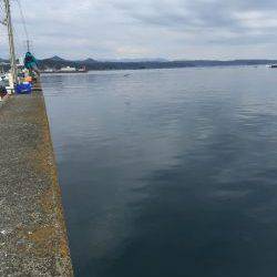 初釣り フカセのグレ