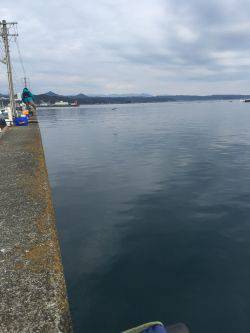 初釣り フカセのグレ