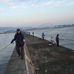 今年もよろしくお願いします