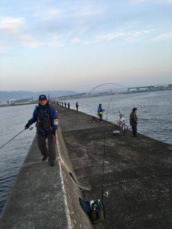 今年もよろしくお願いします