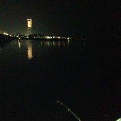 余った餌で再チャレンジ