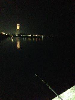 余った餌で再チャレンジ