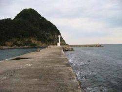 ハマチが回遊中！！