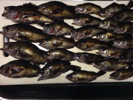 2016 元日のメバリング！