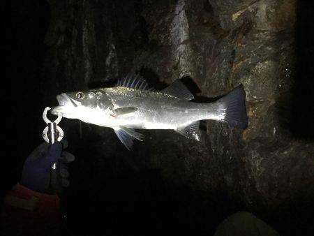 結果オーライ(^_^;)