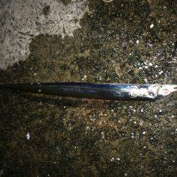 なんとか釣れた