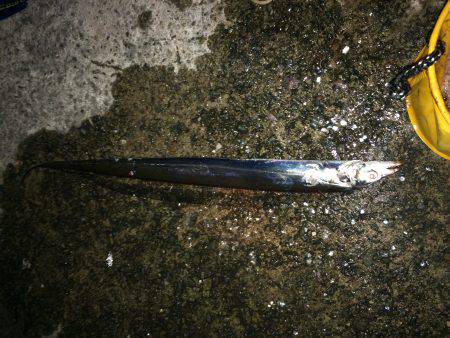 なんとか釣れた