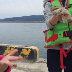 息子初の大物、エソですが・・・