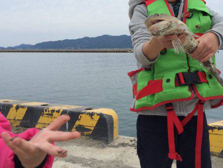 息子初の大物、エソですが・・・