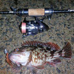 寒さにも負けず、ただガシラ狙い!