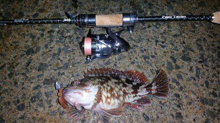 寒さにも負けず、ただガシラ狙い!