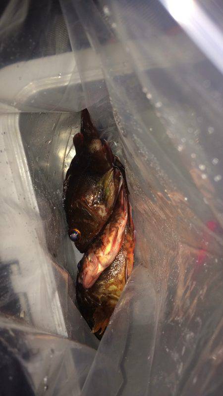 気温に比べたら