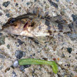 寒くても釣りはできる！