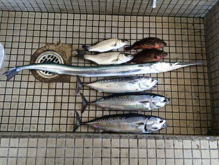 中紀〜南紀遠征