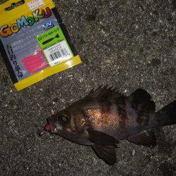 サイズUP目指して