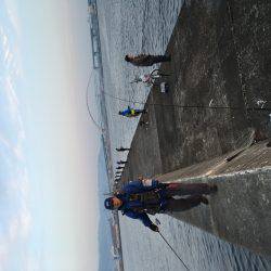 今年もよろしくお願いします