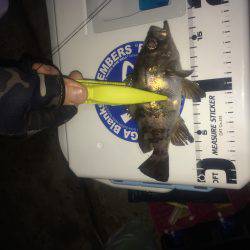 伊根メバリング part1