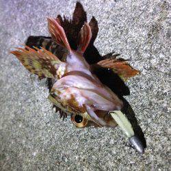 気になるポイントへ。