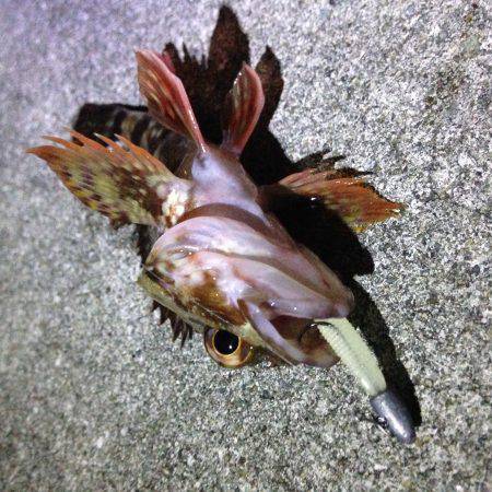 気になるポイントへ。