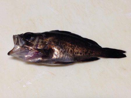 仕事帰りのメバリング！