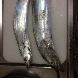 朝練してきました