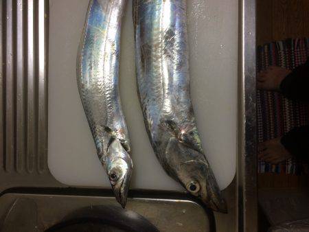 朝練してきました